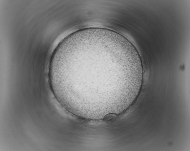 X0000112831146200909181644