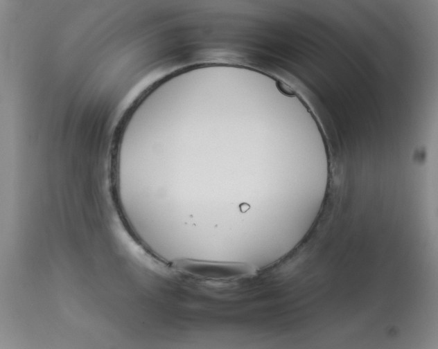 X0000112831147200909181644