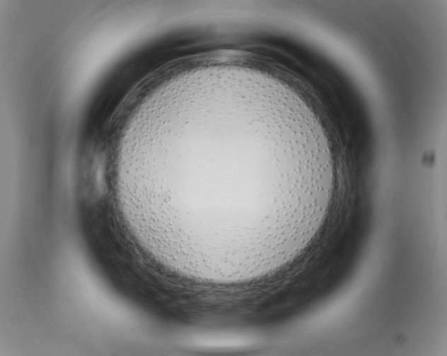 X0000112831150200909181644