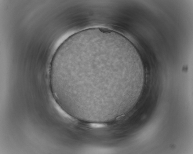 X0000112831151200909181644