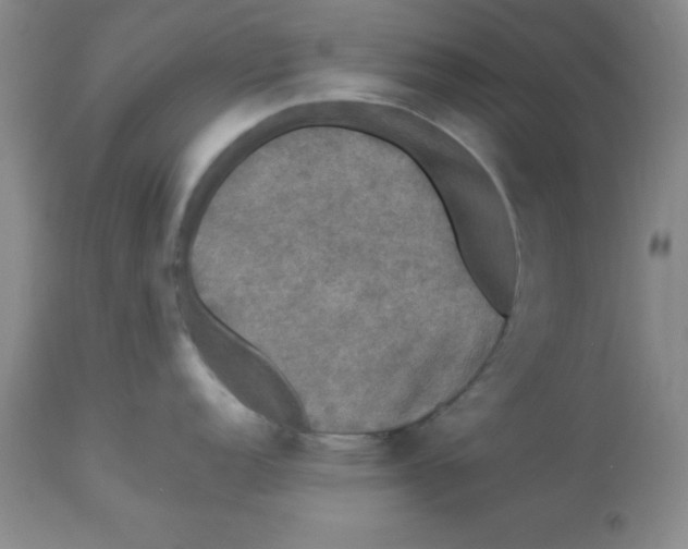 X0000112831152200909181644