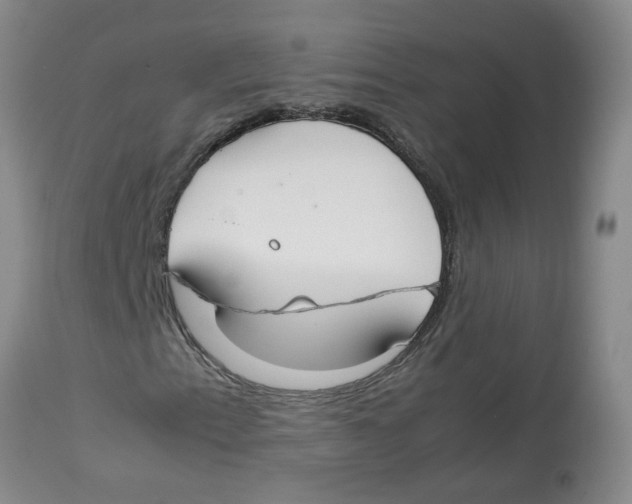 X0000112831153200909181643