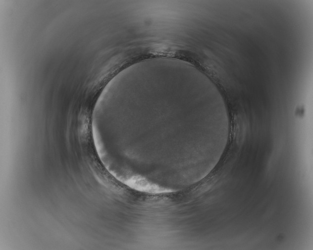 X0000112831154200909181643