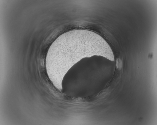 X0000112831155200909181643