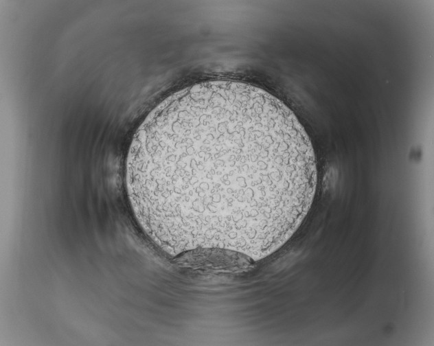 X0000112831156200909181643