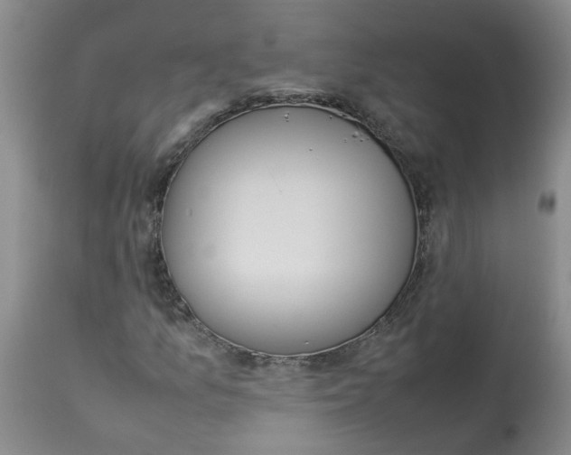 X0000112831157200909181643