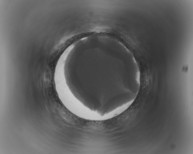 X0000112831158200909181643