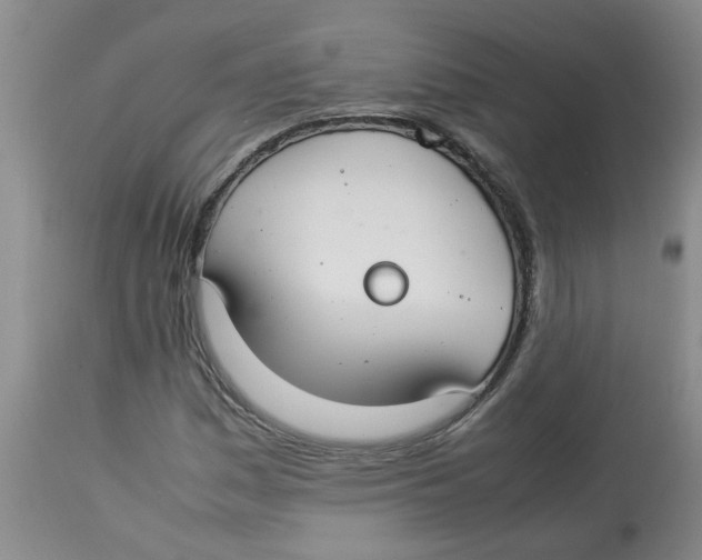 X0000112831161200909181643