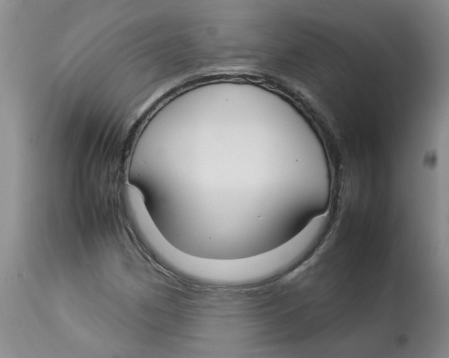 X0000112831162200909181643