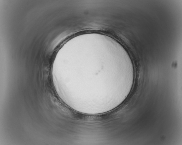 X0000112831163200909181643