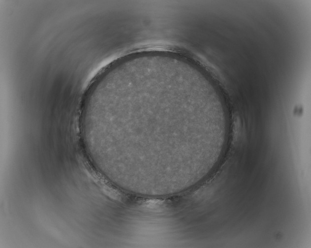 X0000112831166200909181643