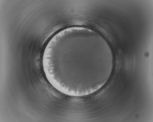 X0000112831170200909181643