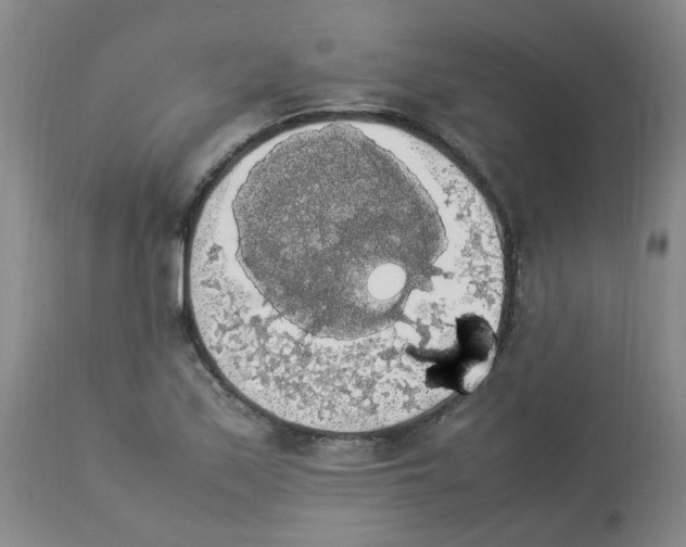 X0000112831171200909181643