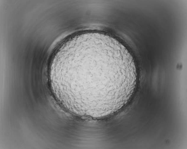 X0000112831172200909181643