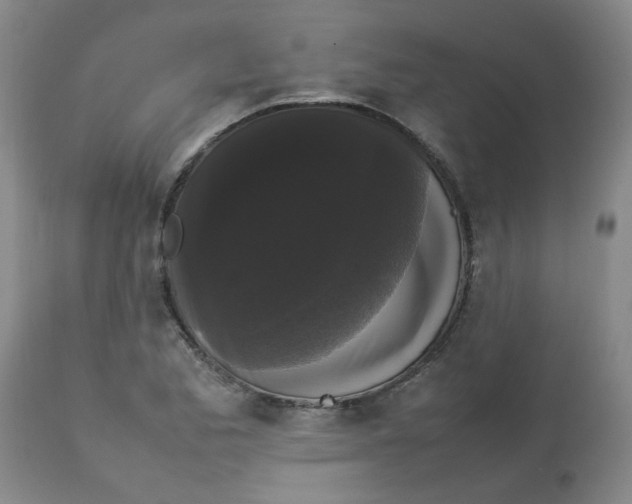 X0000112831173200909181643