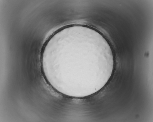 X0000112831176200909181643