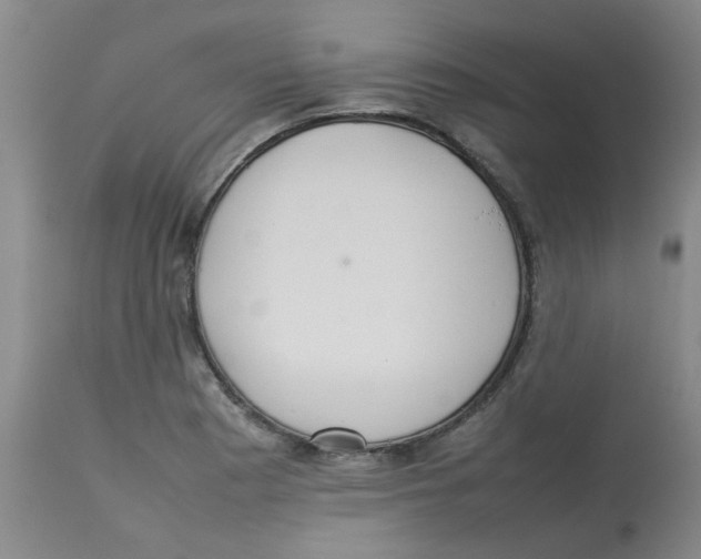 X0000112831177200909181643