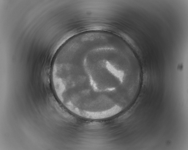 X0000112831178200909181643