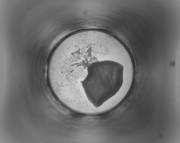 X0000112831179200909181643