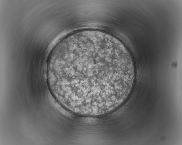 X0000112831180200909181643