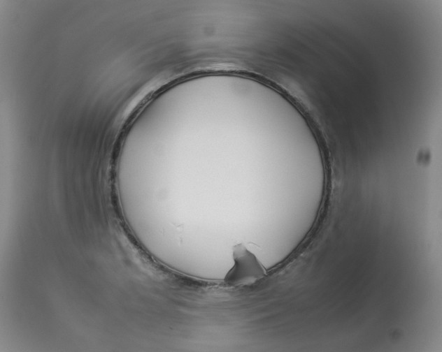 X0000112831181200909181643