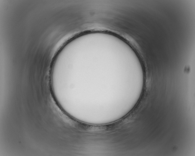 X0000112831183200909181643