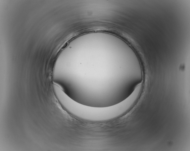 X0000112831185200909181643