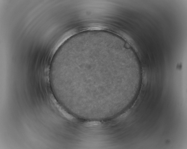 X0000112831186200909181643