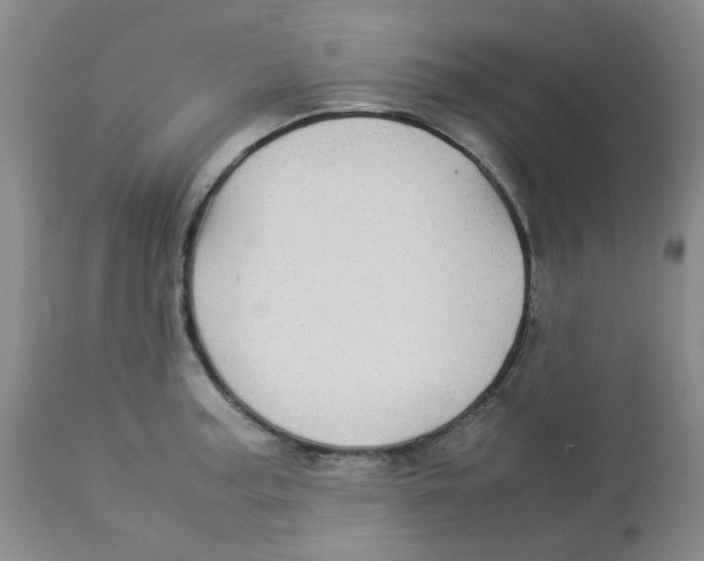 X0000112831187200909181643