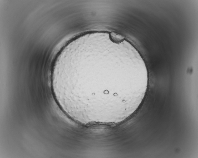 X0000112831188200909181643