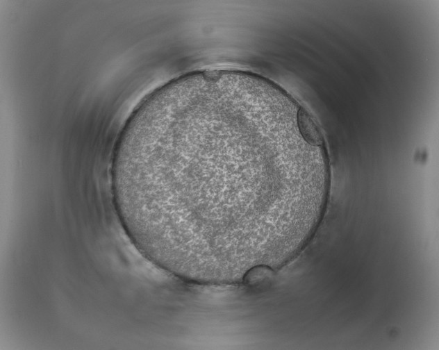 X0000112831189200909181643