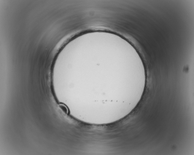 X0000112831191200909181643