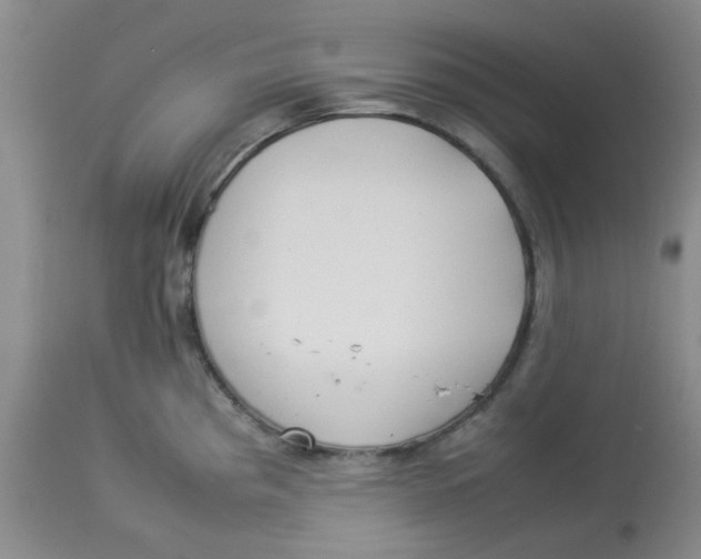 X0000112831193200909181643