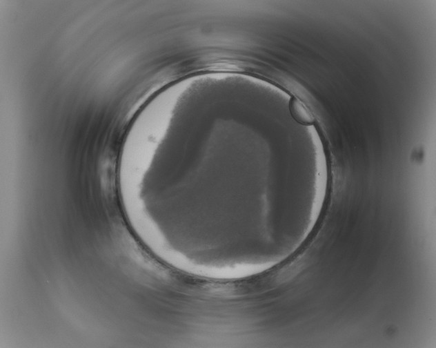 X0000112831194200909181643