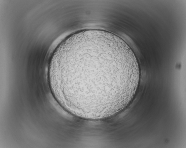 X0000112831196200909181642