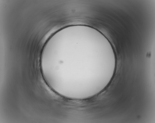 X0000112831197200909181642