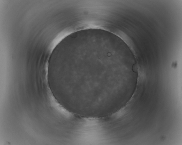 X0000112831198200909181642