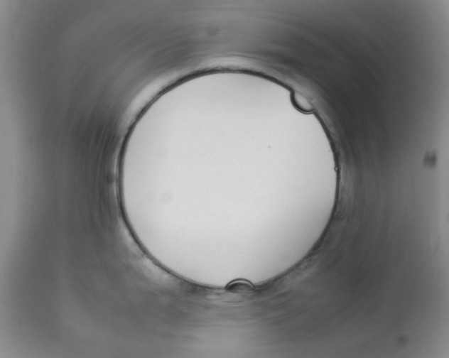 X0000112831199200909181642