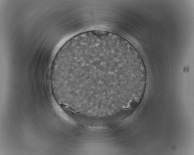 X0000112831200200909181642