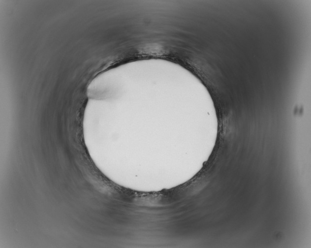 X0000112831201200909181642