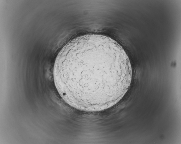 X0000112831202200909181642