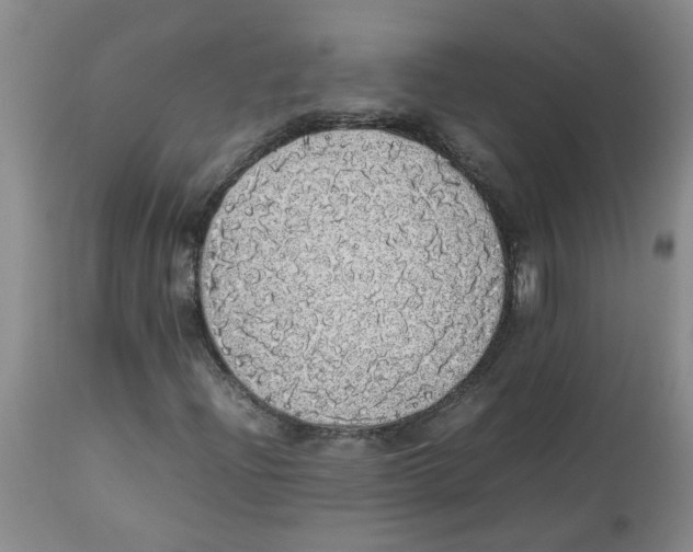 X0000112831204200909181642