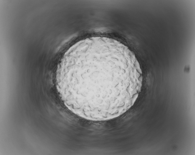 X0000112831205200909181642