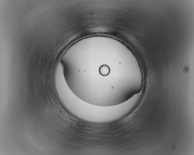 X0000112831209200909181642