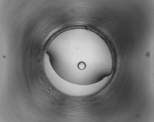 X0000112831210200909181642