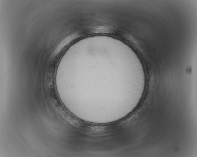 X0000112831211200909181642