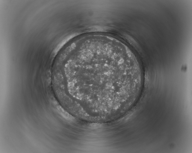 X0000112831212200909181642