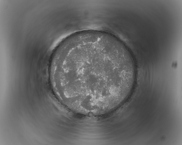 X0000112831214200909181642