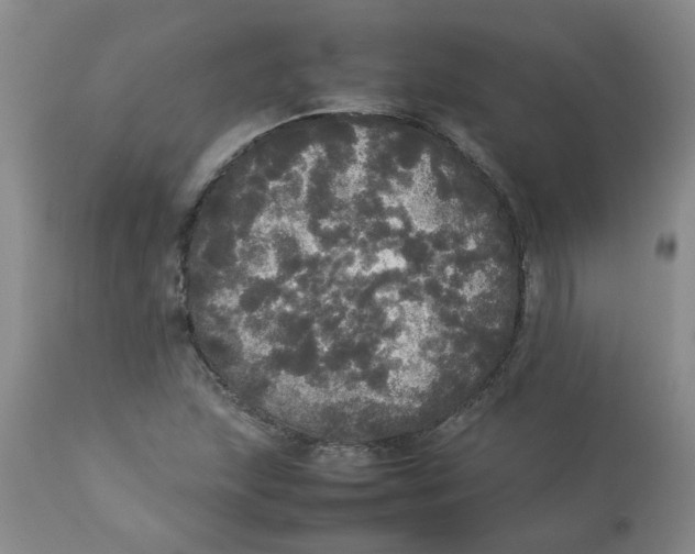 X0000112831215200909181642