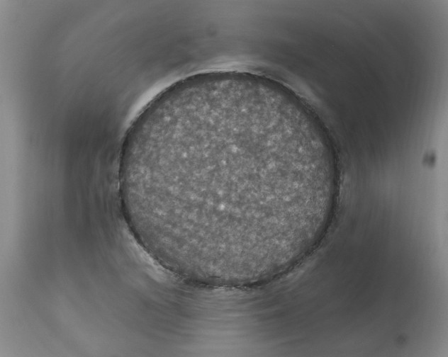 X0000112831216200909181642